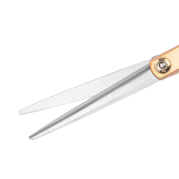 Ciseaux de coiffure Snippex 6.0 or 